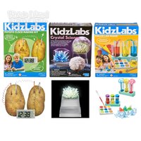 KidzLabs Assortment E