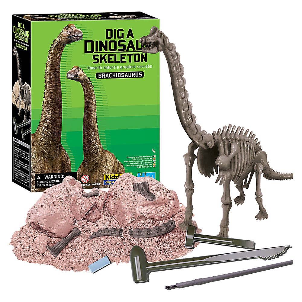 Buy 4M Kidz Labs - Skeleton Brachiosaurus Online at Low Prices in India