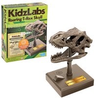 KidzLabs /Dino Skull