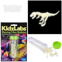 Kidzlabs/Glowing T-Rex Skeleton