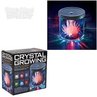 Crystal Growing/Colour Changing Light-Up Display
