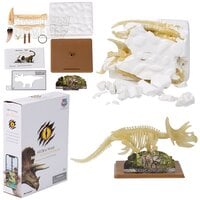 Augmented Reality Triceratops Dinosaur Dig Figure