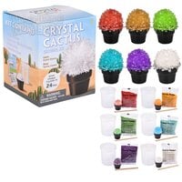 Edu-Stem Growing Crystal Cactus Kit