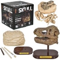 6.5" T-Rex Skull Excavation