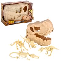 10" Dinosaur Fossil Skull Set 5pc
