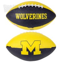 10" Michigan Football