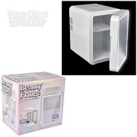 10" Beauty Fridge With LED Mirror