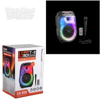 12" Mini Wireless Boombox With Mic