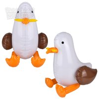 24" Seagull Inflate