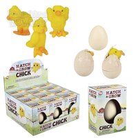 Small Hatch And Grow Chick Egg