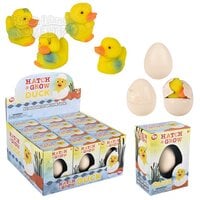 Small Hatch And Grow Duck Egg