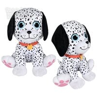 24" Dalmatian (SS)
