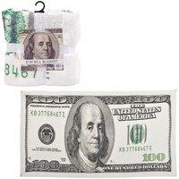 71"x35" $100 Bill Flannel Blanket