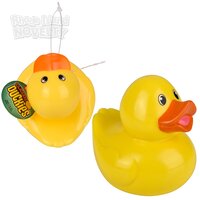 3.5" Classic Ducky 12/Disp 6/20