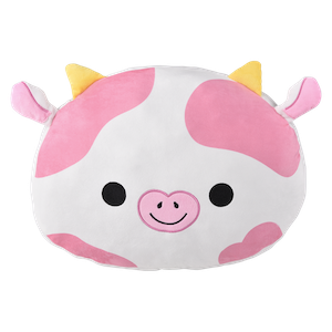 Plush Pillow