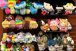 4x8 Plush Planogram